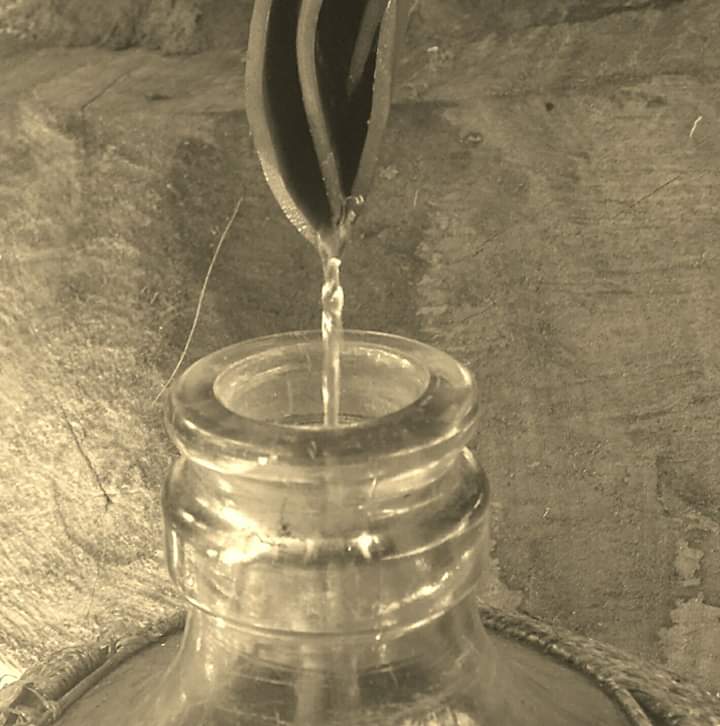 La destilación del Raicilla.